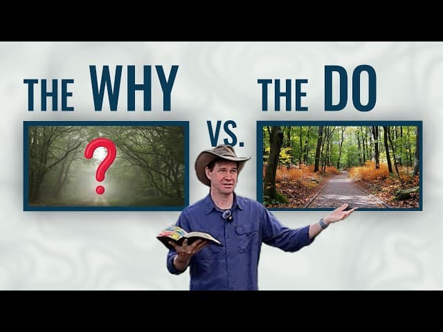 Faith Insights with Tyler Griffin