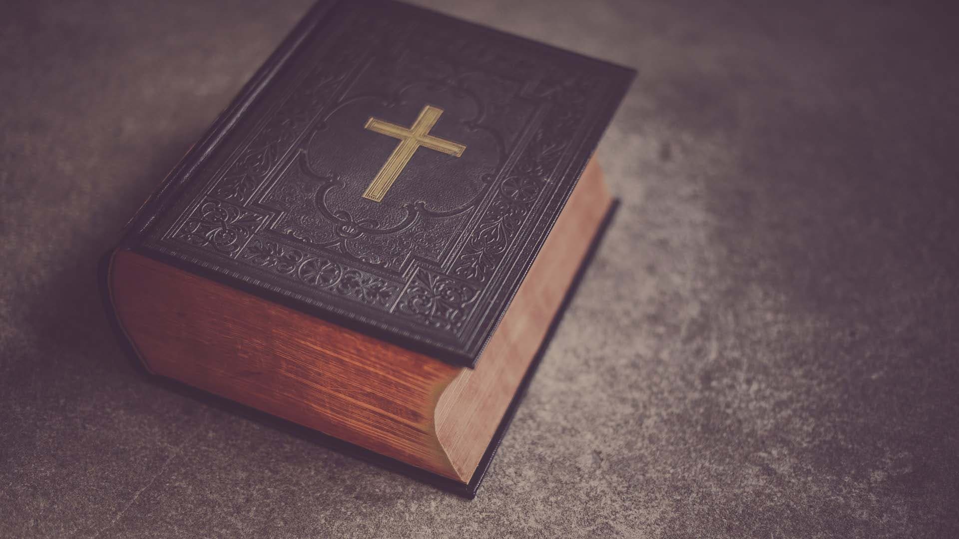 What are the books of the Bible?