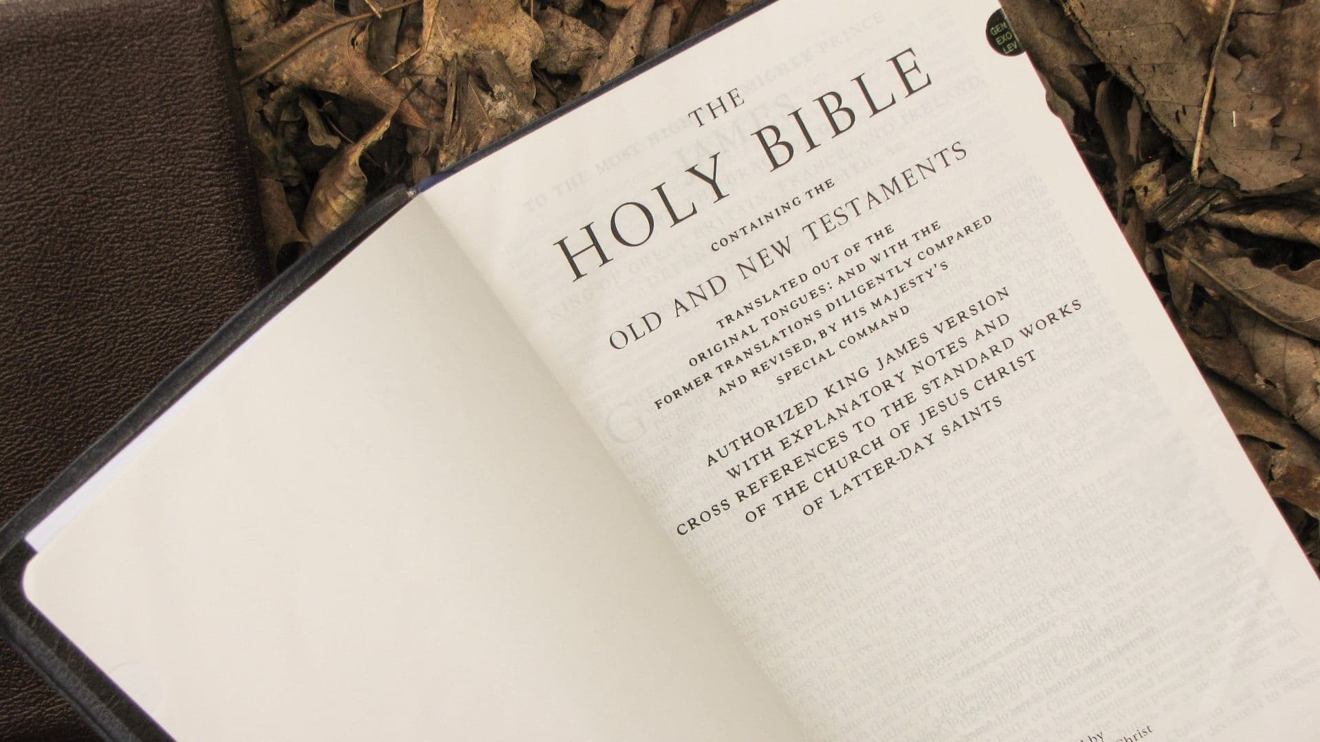 Why is Chronicles in the Bible?